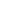 Fiat Logo