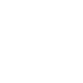 White Polestar logo