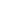 White Zeekr logo